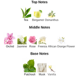 Flower Fairies - Impression of FlowerBomb by Viktor & Rolf